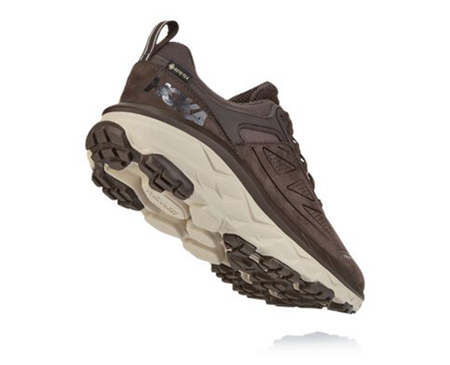 Trail Shoes Mens - Hoka One One Challenger Low GORE-TEX - Brown - CESYAZR-94